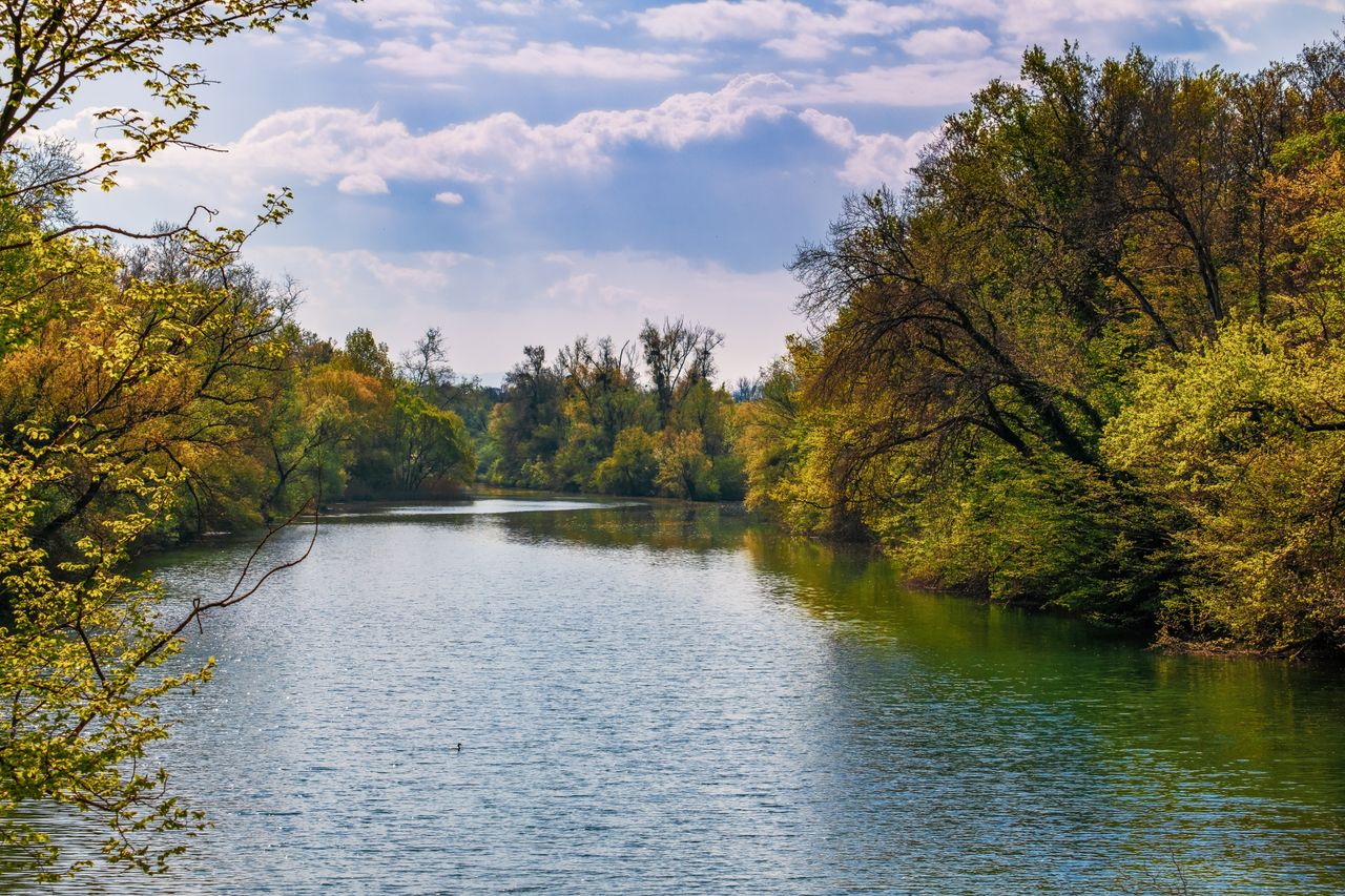 The Art of Drawing Readers In: Your attractive post title goes here Tranquil autumn landscape with a river surrounded by trees in Weisweil, Germany.