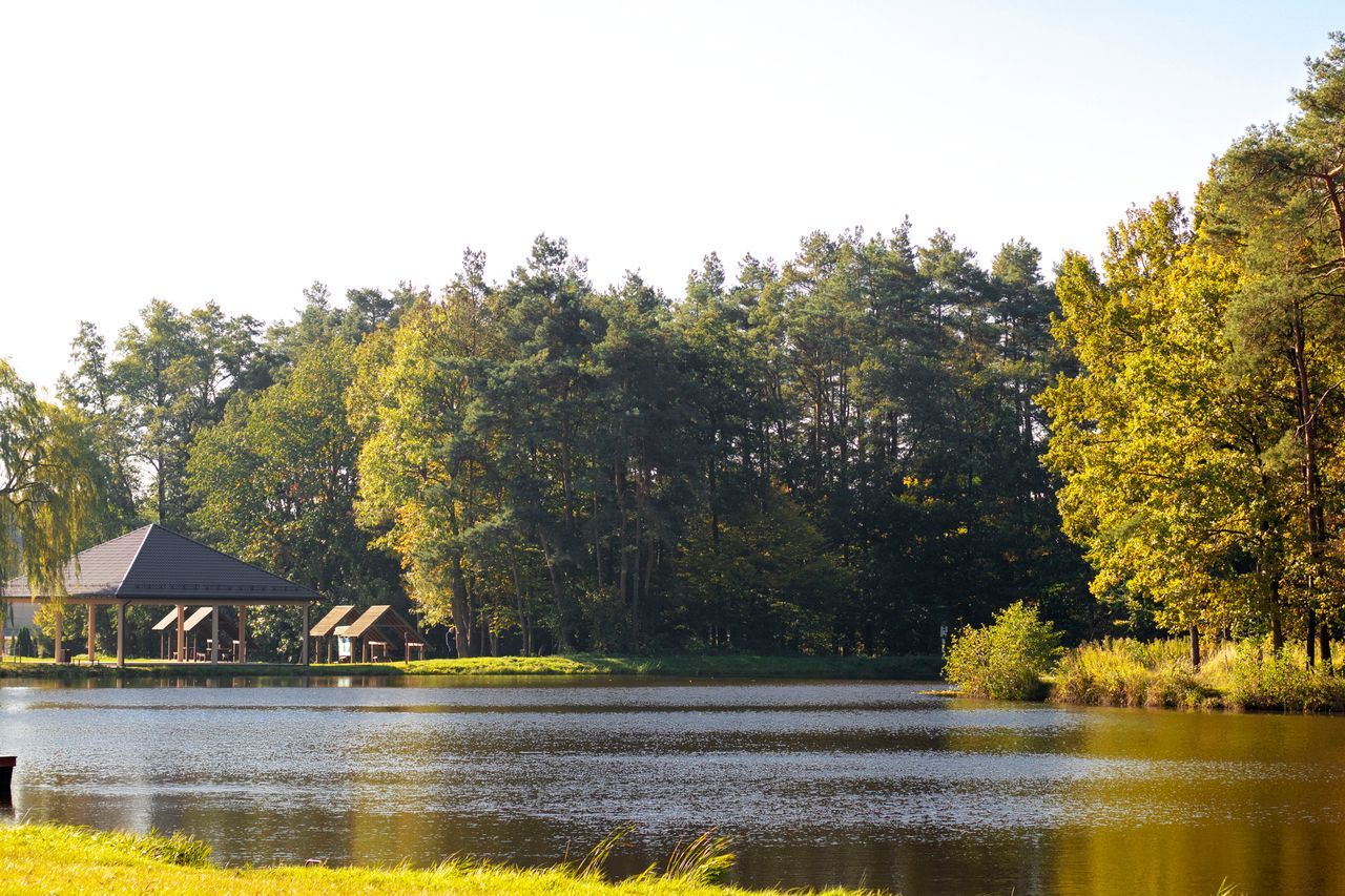 Mastering the First Impression: Your intriguing post title goes here A serene lakeside view with lush green forest and cabins under a clear sky.