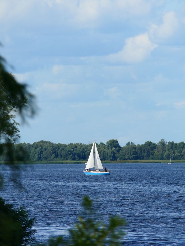 Menu A picturesque sailboat cruises on a calm river, surrounded by lush greenery under a bright blue sky.