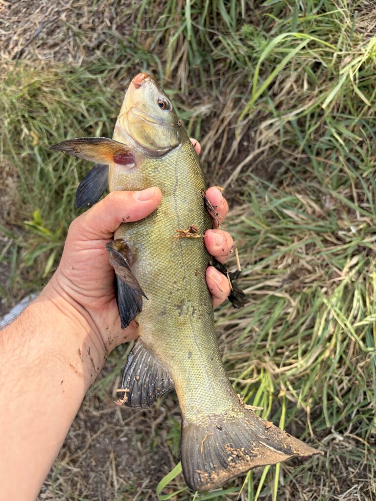 img 2531