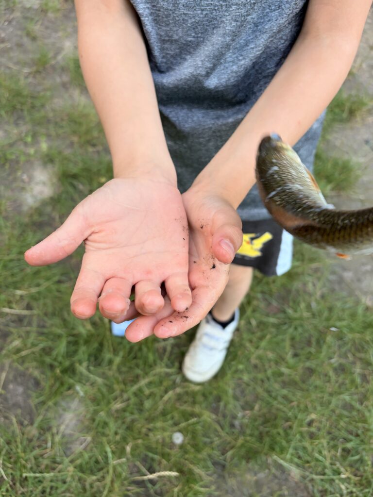 img 3330